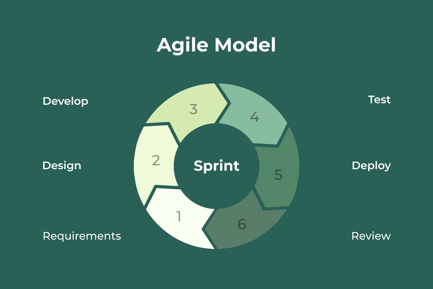 Software Life Cycle Models Diagram