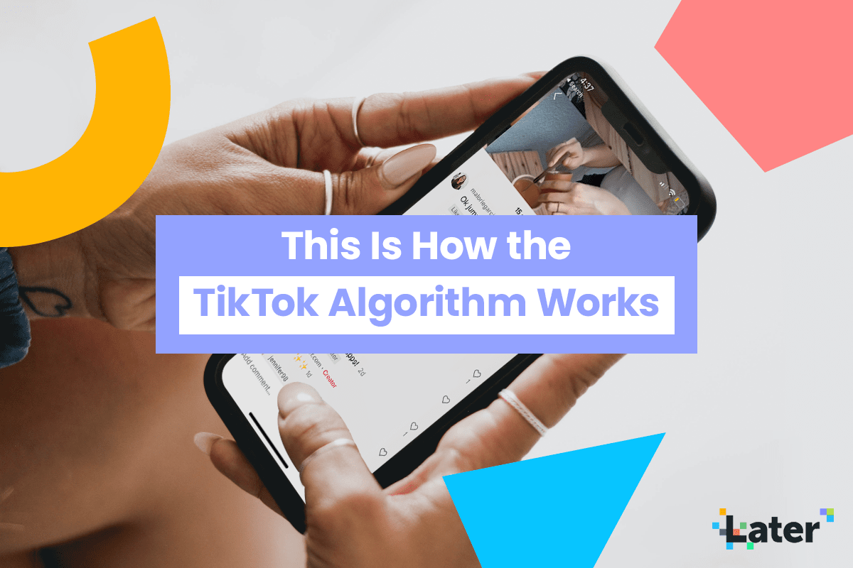 ecco come funziona l 39 algoritmo di tiktok affde marketing