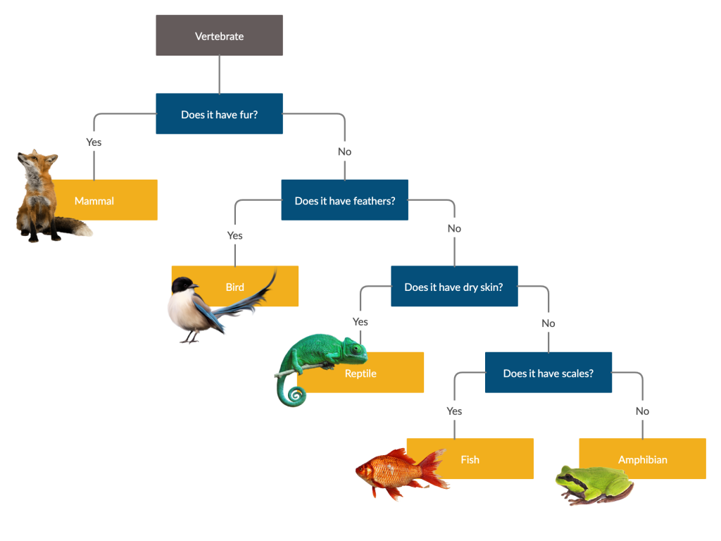 What Are Dichotomous