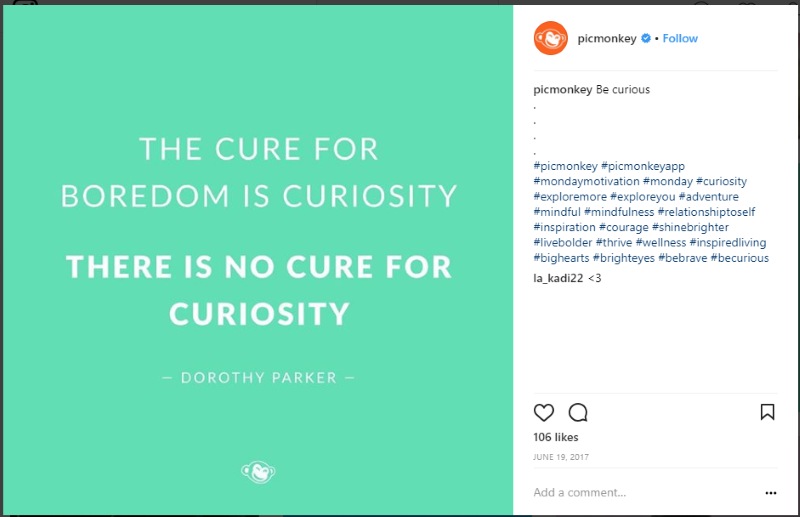 PicMonkey Instagram account